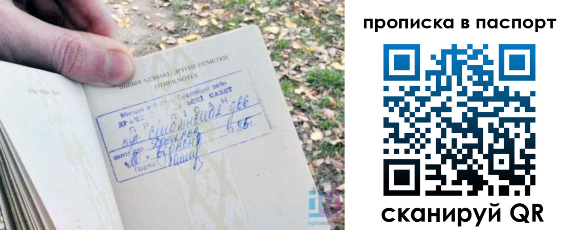 купить прописку в Волгоградской области